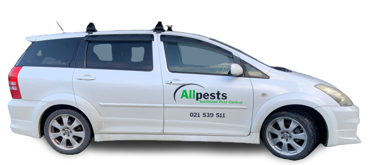 AllPests Southland Pest Control